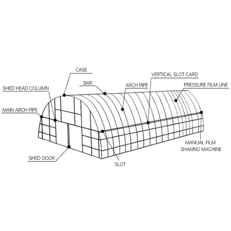 Single-Span Greenhouse hydroponics  Tunnel Plastic Film Cover Galvanized Steel Frame single  span greenhouse