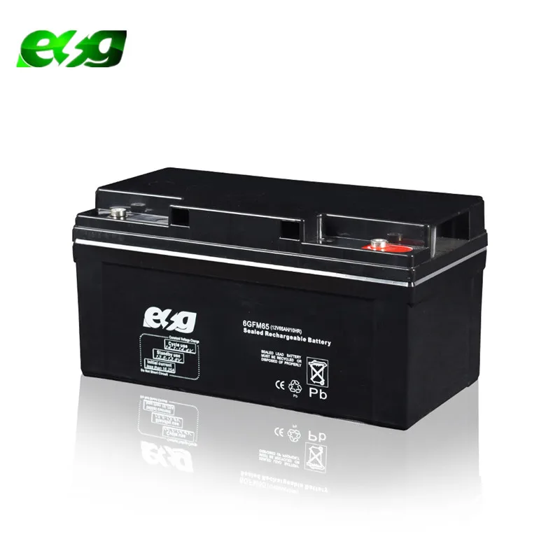 ESG High rate UPS backup Valve Regulated Lead Acid (VRLA) batteries 12V 65AH maintenance free battery 60AH