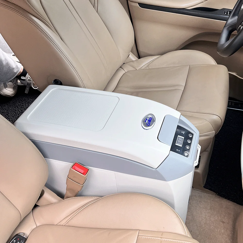 Factory Price Camping Freezer Portable 17L Beach Fridge 12V Mini Refrigerator with LED Display