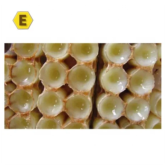 Свежий крем из Королевского желе, здоровое Королевское Желе, заводская цена на продажу