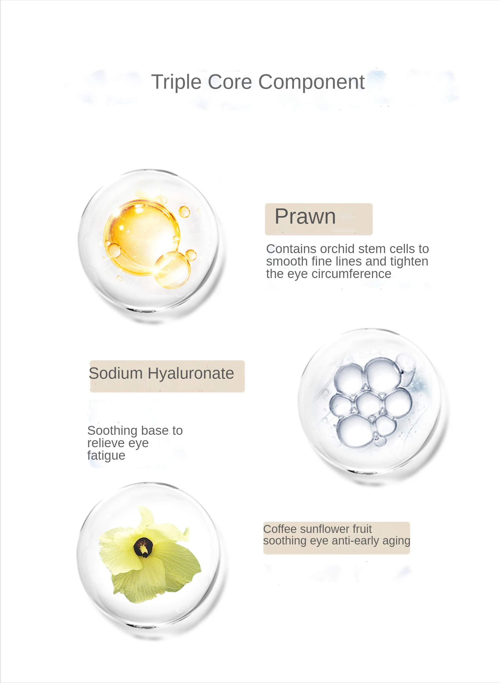 Hot Sale OEM ODM Wholesale Anti Aging Wrinkle Remove Fine Lines Firming Lifting Moisturizing Face Facial Serum Ampoules