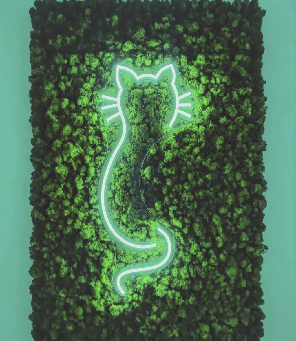 Koncept Drop Shipping 20inch cat name sign Neon Light Advertising Custom LED Neon Sign