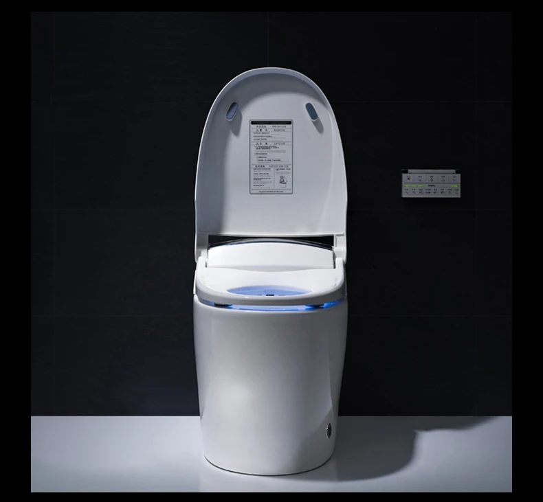 220v /110v Bathroom  Luxury Design Electronic Intelligent Toilet