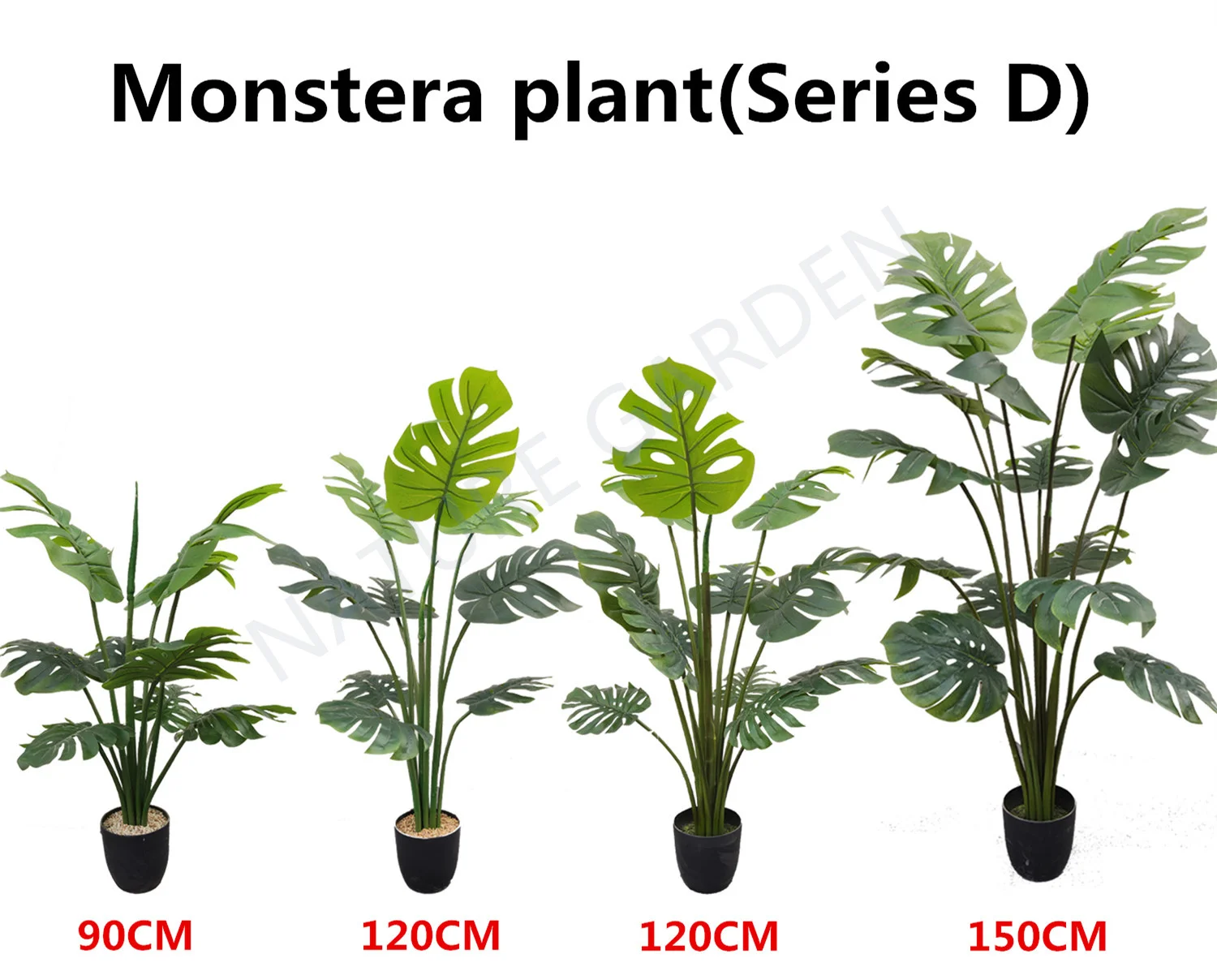 Ornamental Monstera Variegata Natural Plant Indoor Decoration Artificial Dry Tree House Plants