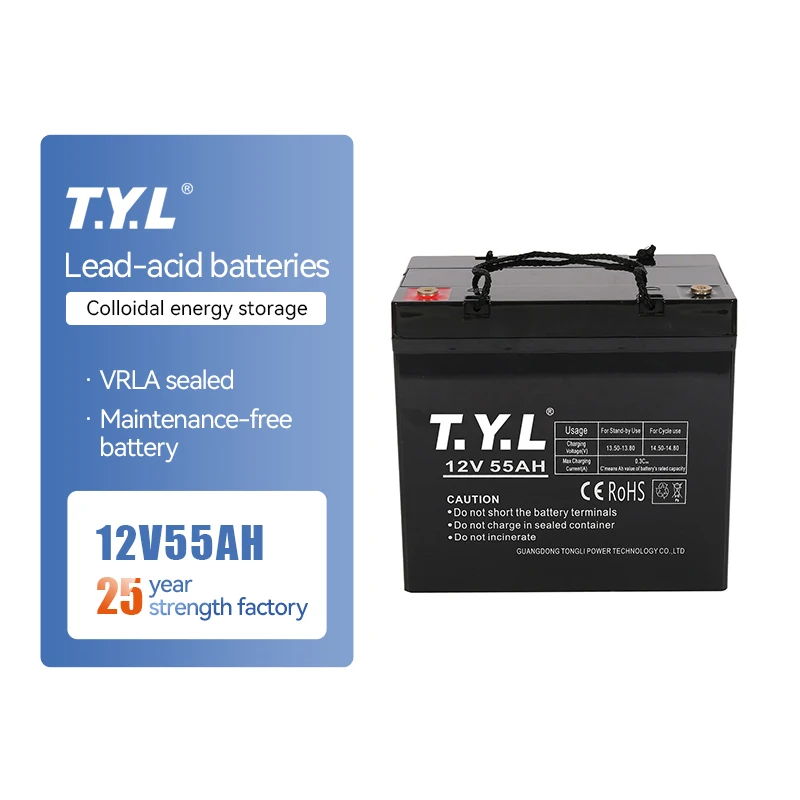 T.Y.L Best price sealed lead acid battery 12V 55AH gel batteries germany 12 volt deep cycle battery 10 amps for off grid homes