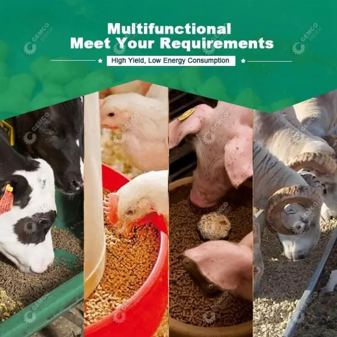 Strong Technical Supported Cheap Flat Die Diesel Electric PTO Animal Poultry Cow Small Feed Mill for Making Processing Chicken