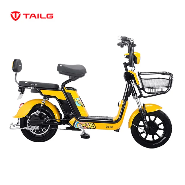 TAILG Simple and economical manned electric bicycle qicycle