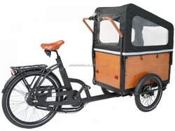 Promotional various durable using fat e cargo bike adult trike 3 wheel electric