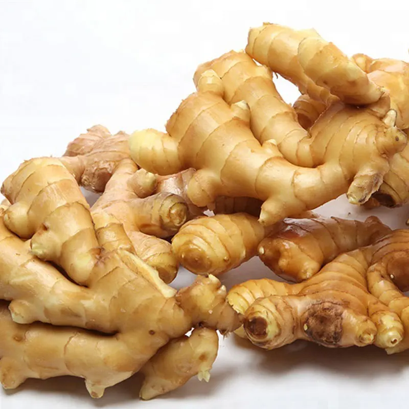 Certified Organic Fresh Ginger Fresh Ginger New Crop Fresh Ginger