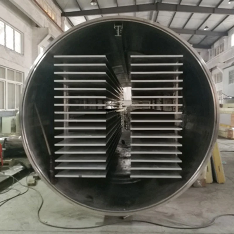 Food Fruit Vegetable lyophilizer Freeze Dry Machine Vacuum Dryer Price