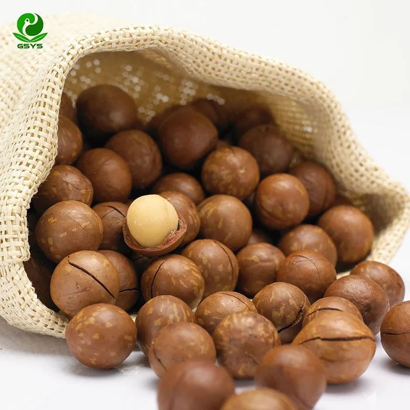 Оптовая продажа дешевая цена орехи макадамия размер раковины 25 мм +