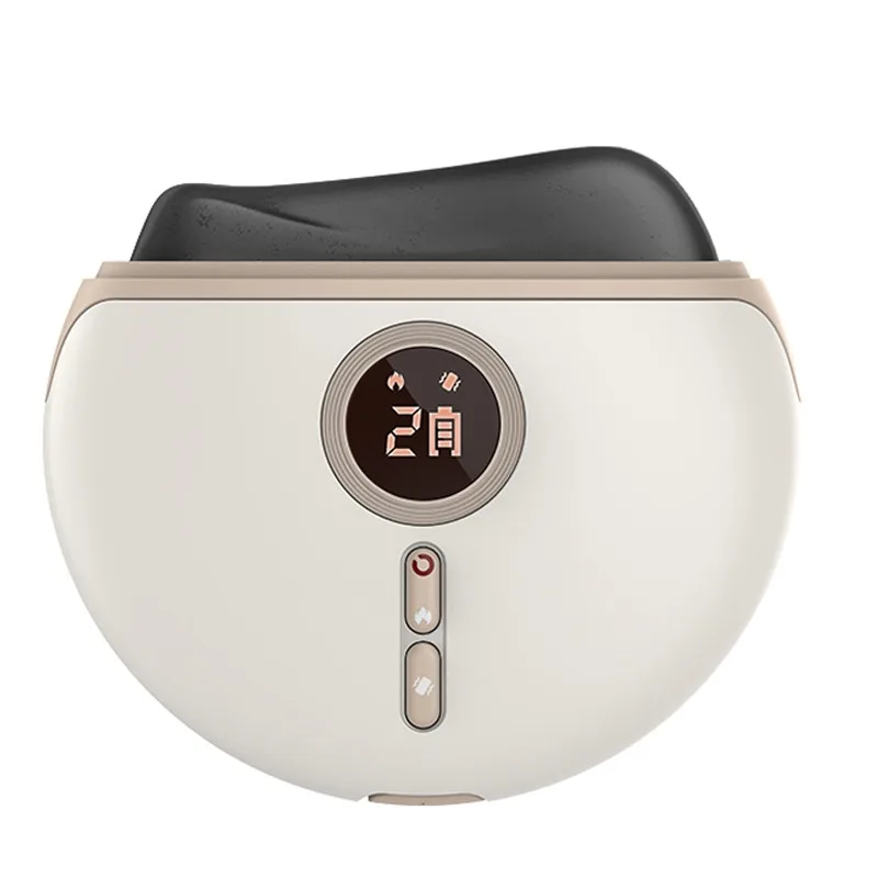 Factory Wholesale Custom Logo Massager Facial Tool Roller Bian Stone 2023 Upgraded & Body Mass Electric Gua Sha