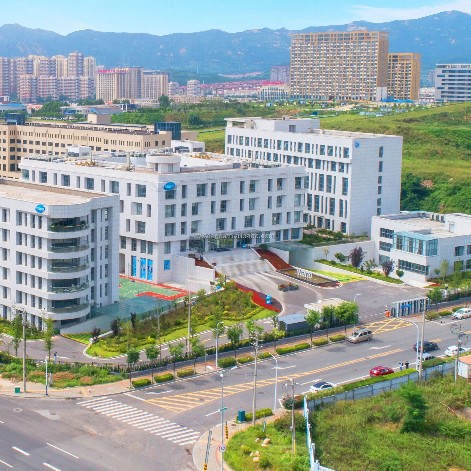 Food grade Glucosamine Sulfate Potassium Chloride for joints health or food production 1296149-08-0