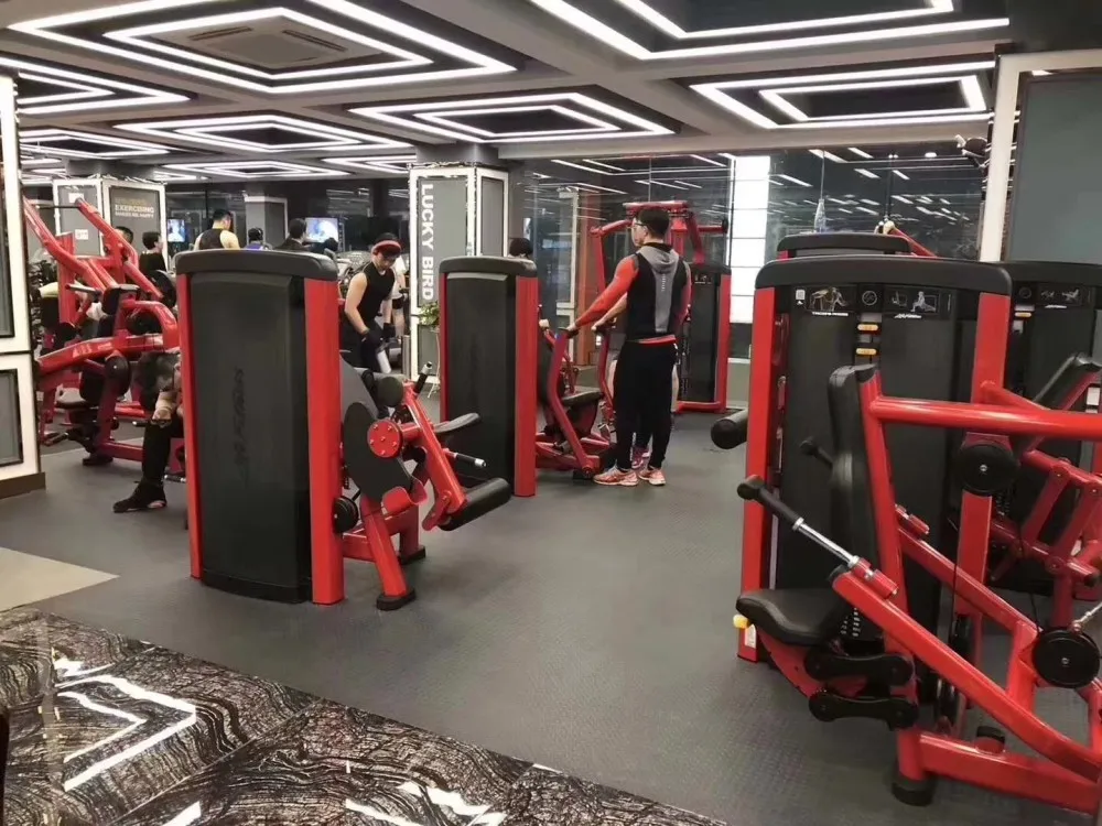 Chest Press for Fitness Equipment Gym Machine High Quality with Low Price