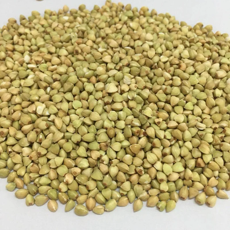 2021 new crop buckwheat seed nutrition buckwheat cheap price
