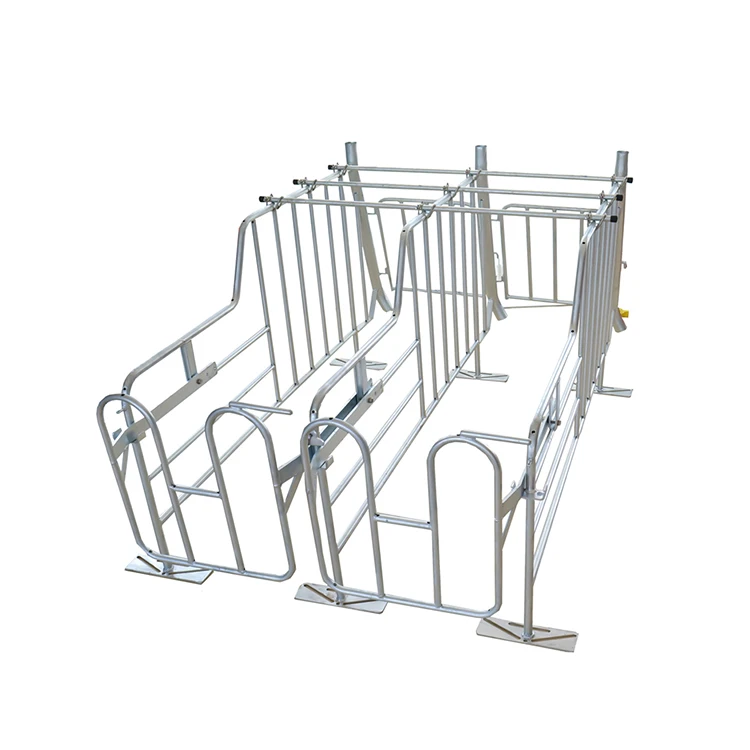 Outstanding Quality Swine Farm Pig Cage Equipment Breeding Gestation Stalls Competitive Price Sow Farrowing Hot Product 2021 DDM