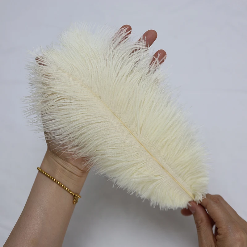 Wholesale Factory Wine Red Ostrich Feathers 50PCS 25-30cm Feathers for Home Decor Carnival Costumes Wedding Parties
