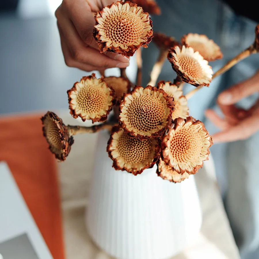 Wholesale Hot Selling High Quality Dried Flowers African Sunflowers For House Decoration