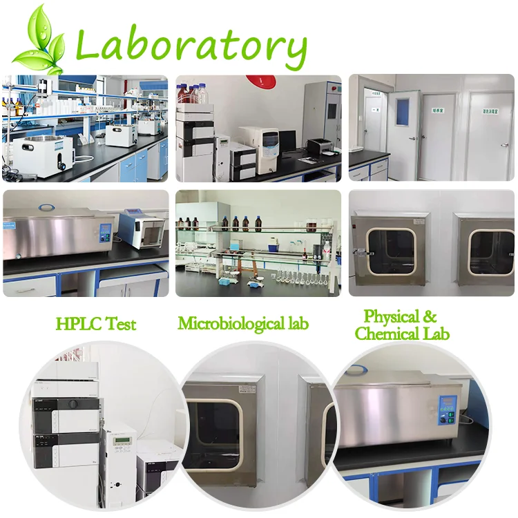 Оптовая цена пищевой порошок декстрина устойчивый к декстрину