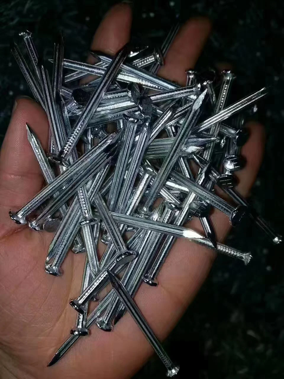 Wood Nails,Wire Nails,Galvanized Concrete Nails