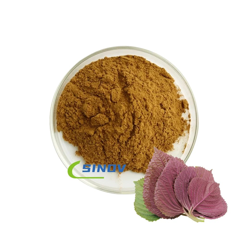 High Quality Free Sample Natural Frutescens Perilla Extract Purple Perilla Extract 10: 1 Perilla Leaf Extract Powder