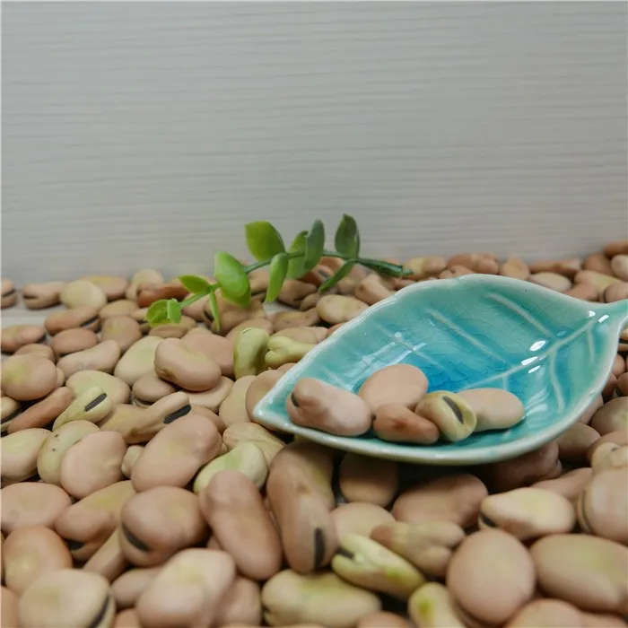 2024 новый урожай сушеные бобы цены Faba Bean
