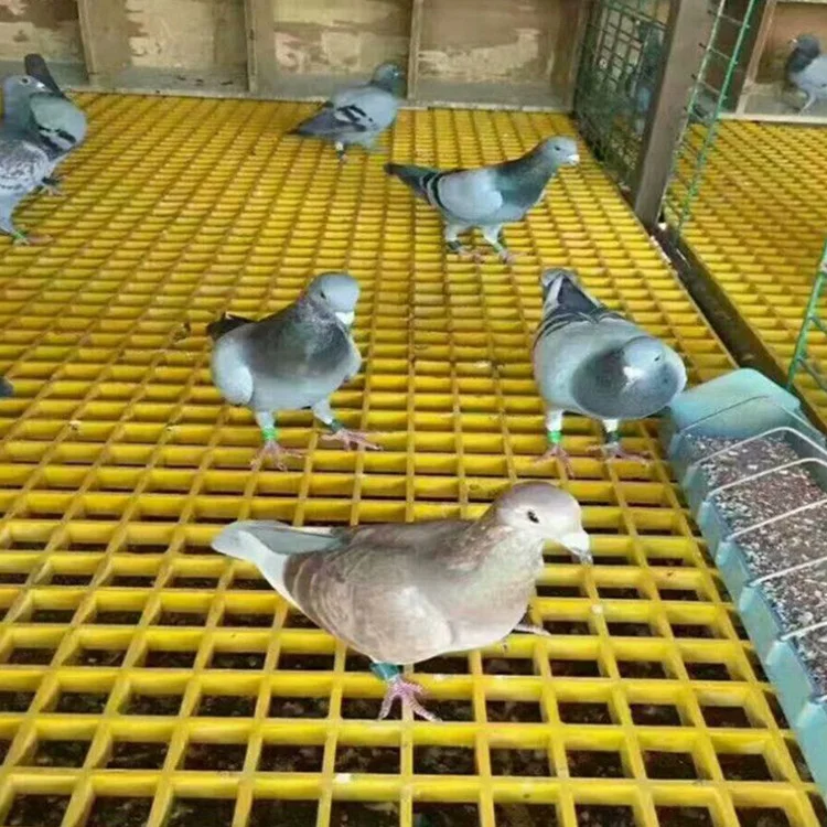 50mm*50mm mesh size plastic grating fiberglass floor grating for pigeon lofts