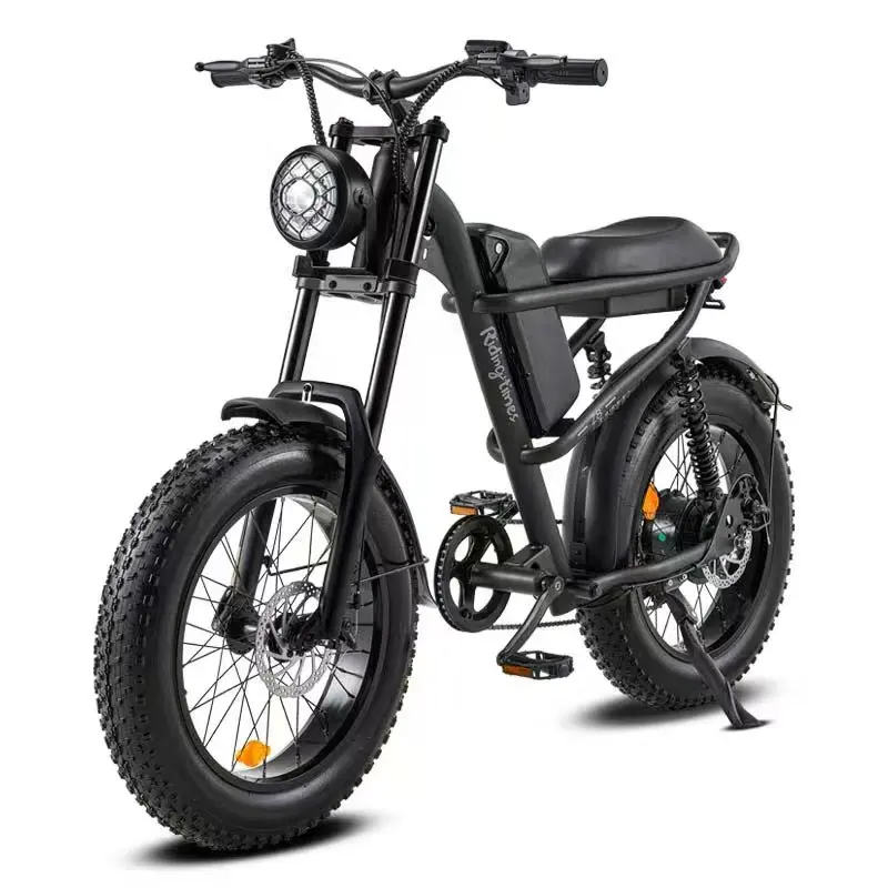 Netherlands Popular V20 fat tire drive motor full suspension mountain electric bike fat tire e-bike for adults