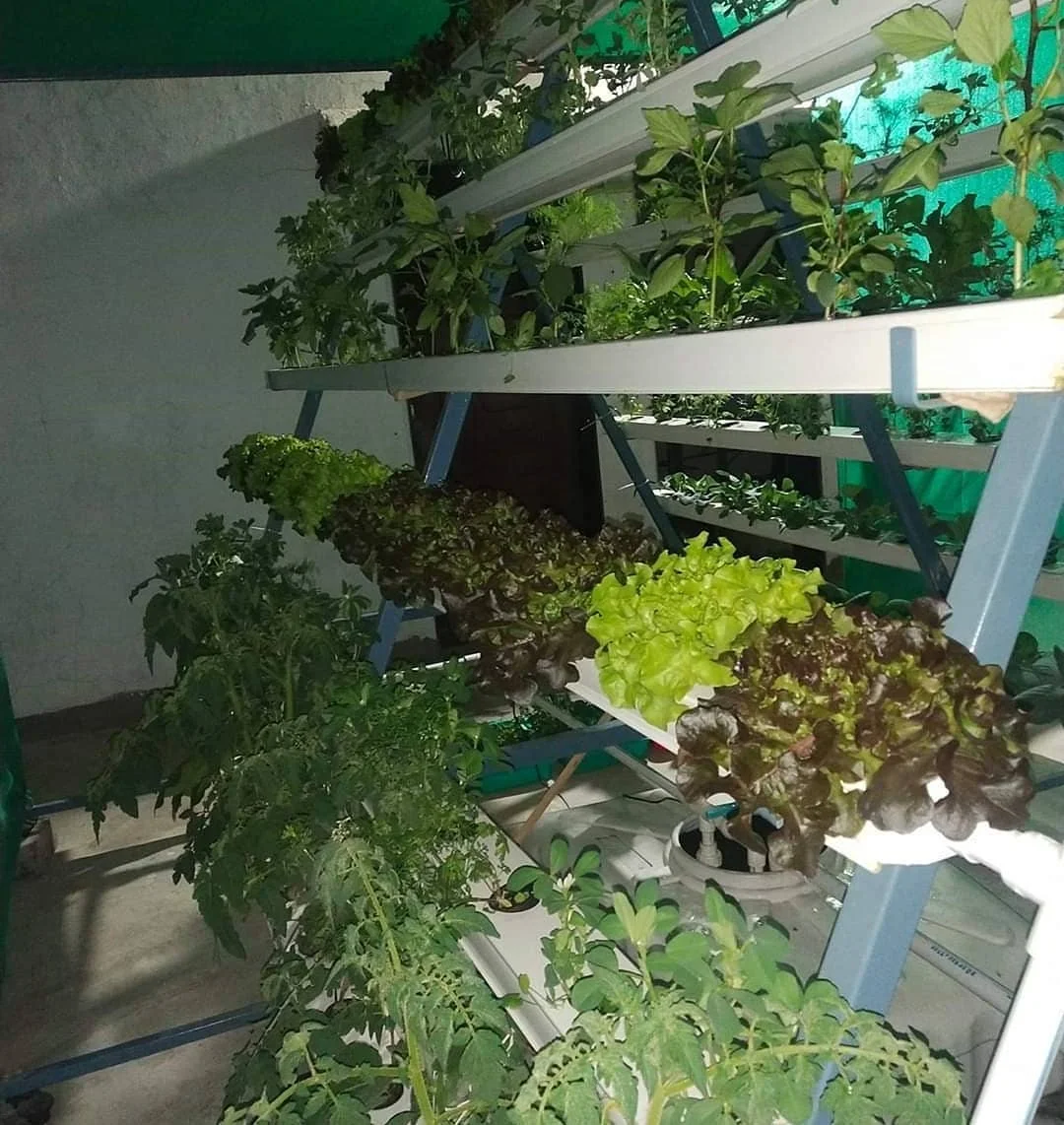 Hydroponics Vertical Farming Planting Square Channel System 100x50mm Indoor NFT Grow Kit Systems For Garden and Agricultural