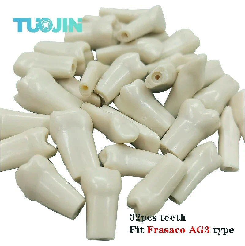 32/SET Teeth Model Type Fit Dental Replacement Standard Screw-in Teeth Model Practice Filling Typodont Restoration Demo
