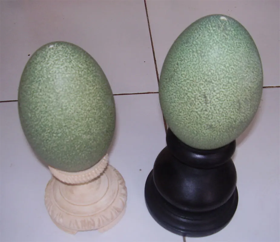 Bali Folk Art Ostrich Egg Painted Wood Gift Easter Decoration Ornament