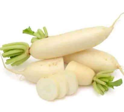 2022 new season fresh vegetable export and international certification fresh vegetable white radish