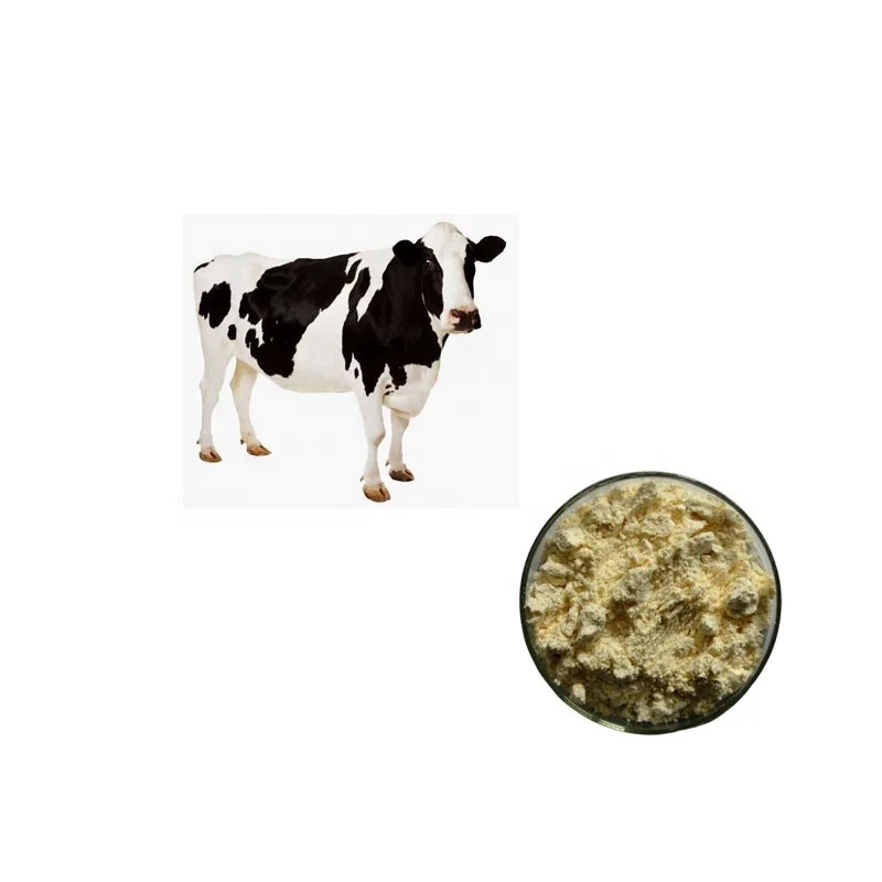
Colostrum Powder Bovine in Bulk Sale 