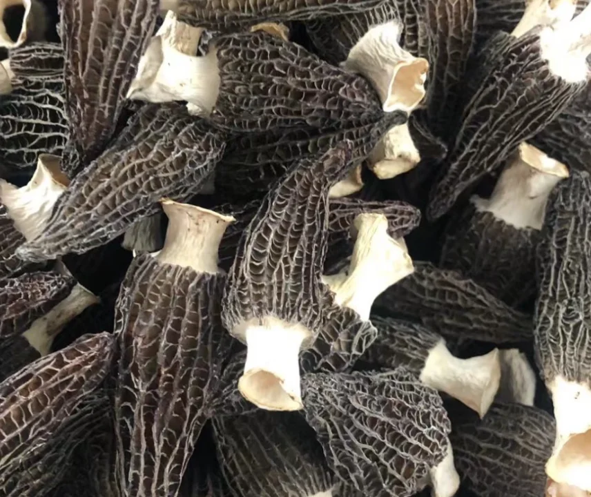 wholesale morel mushrooms 4-6cm Delicious edible raw dried morel mushrooms for sale