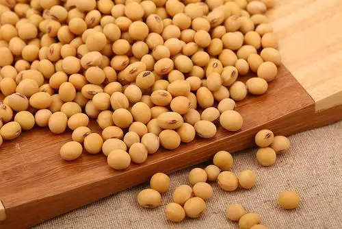 Superior Natural Agricultural Product Organic Quality Soybean