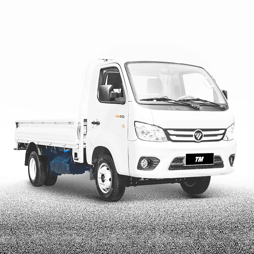 Diesel Delivery Cargo Light Duty 4x2 144Hp 2 Ton Foton Engine Truck