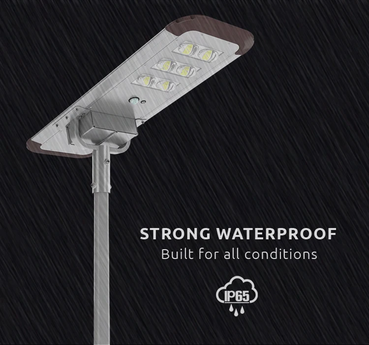 High Quality Solar Powered Street Light Waterproof 40W 190Lm/W PIR Motion Sensor IP65 LED Solar Street Lights With Solar Panel