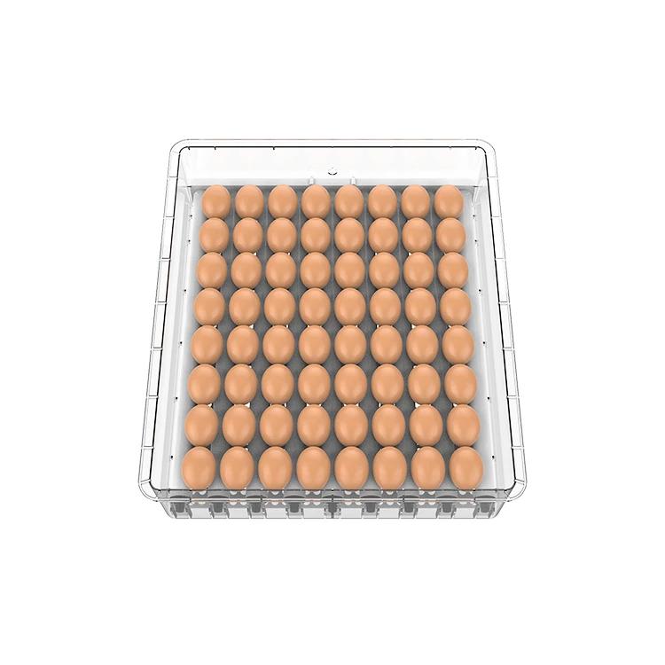 2 Layers 128pcs Automatic Poultry Chicken Egg Incubator