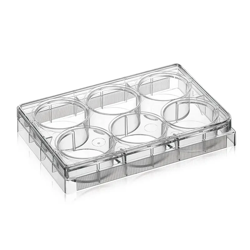Laboratory Supplier Cell Culture Plate Disposable Sterile Transparent Flat Bottom 6 Well ELISA Multi Well Plate