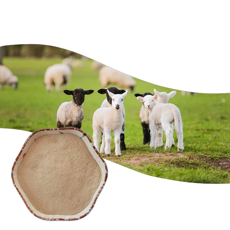Let the lamb stronger, fast growing feed additive compound enzymes,Growth promoters
