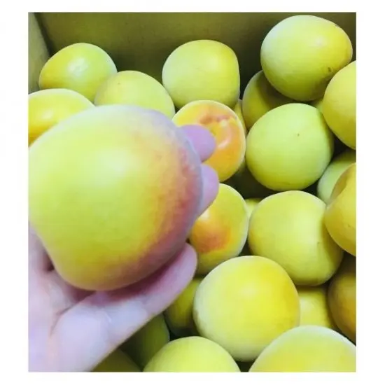 Японский вкусный нежный изысканный фруктовый бокал для вина
