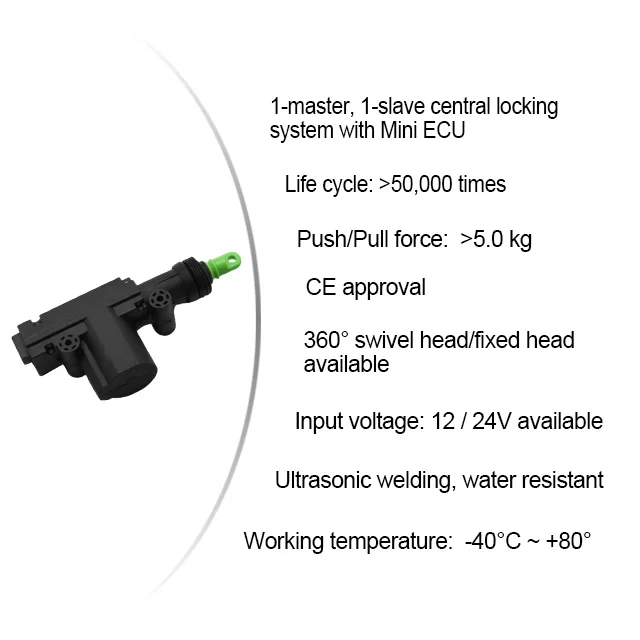 Promata Car Lock Kit Universal DC 12V/24V Auto Electric Central Locking System with 4 Actuators
