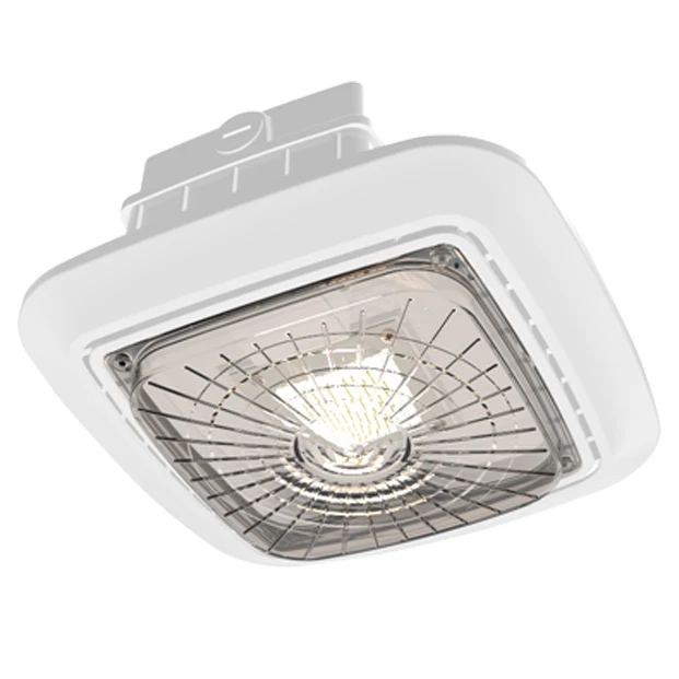 
30W 60W LED Garage Canopy Light IP65 Waterproof Parking Lot Luminaire 