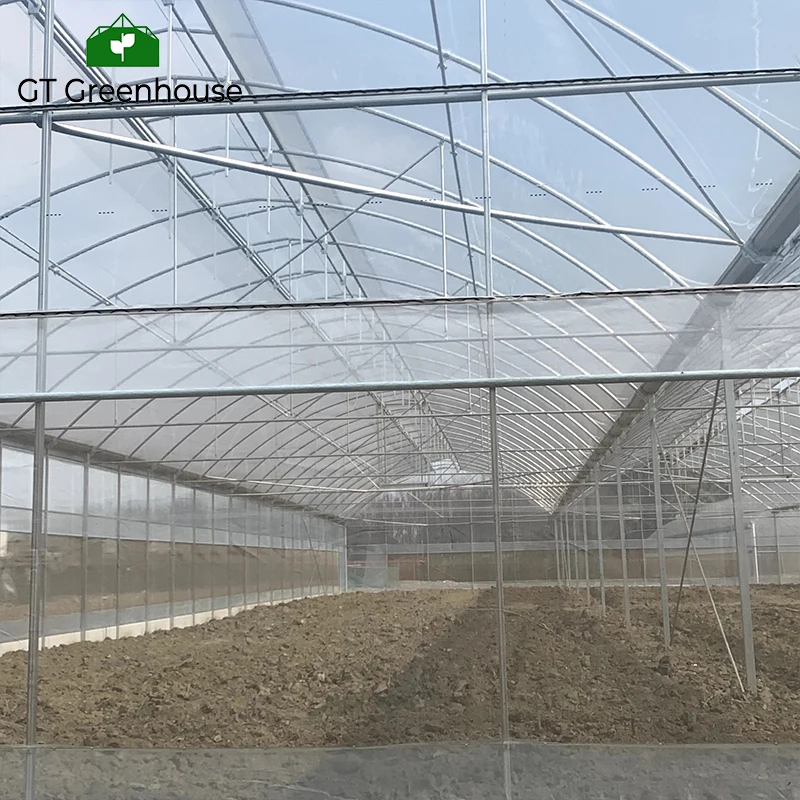 GT Arch Green House металлический каркас многопролетных сельскохозяйственных теплиц