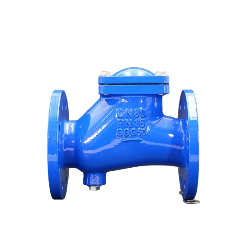 Customization High Quality Cast Iron Ductile Iron Ansi Din Bs Standard Dn100 Pn16 Din Flange Ball Check Valve