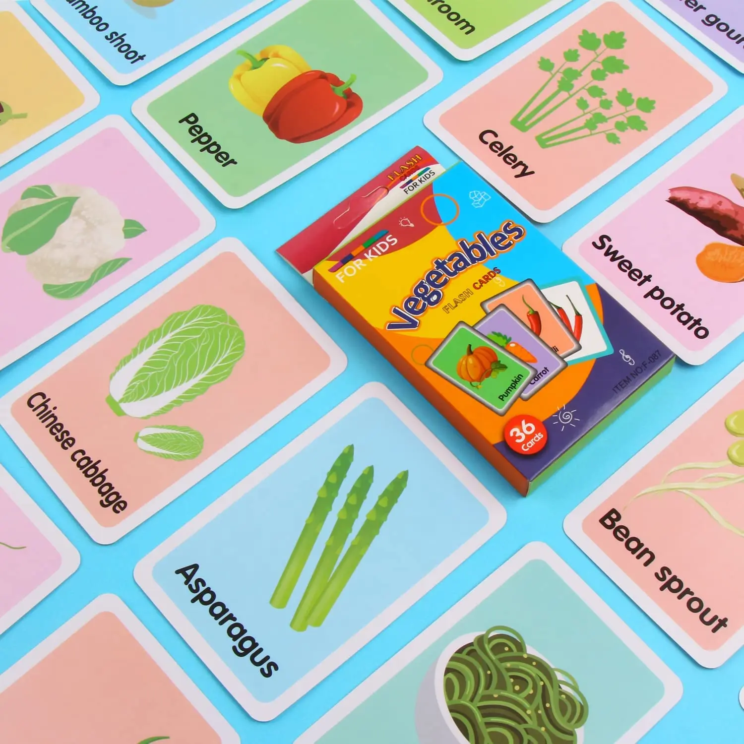 customizable flash cards to teach english speach sounds flash card book