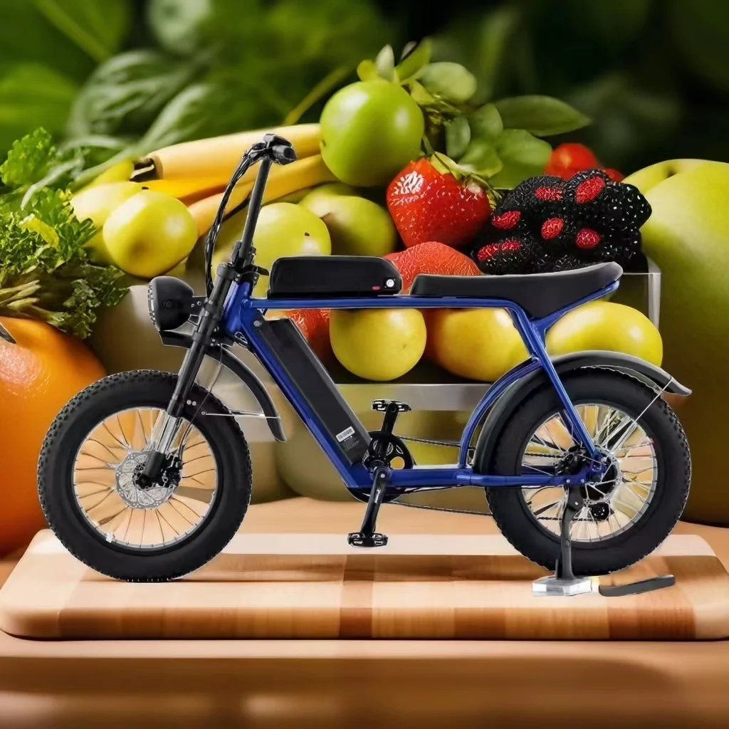 WT20 40Ah dual battery high power high quality 20 inch snow fat tire 500W-1000W off-road electric bike