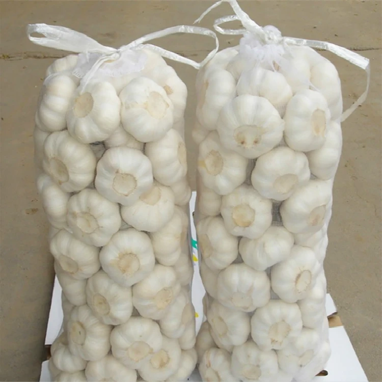 Export Chinese Price Garlic Box 10kg 50kg Natural Organic Garlic Normal White Fresh Garlic In Bulk