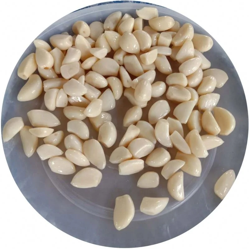 
Marinated garlic in plastic drums 