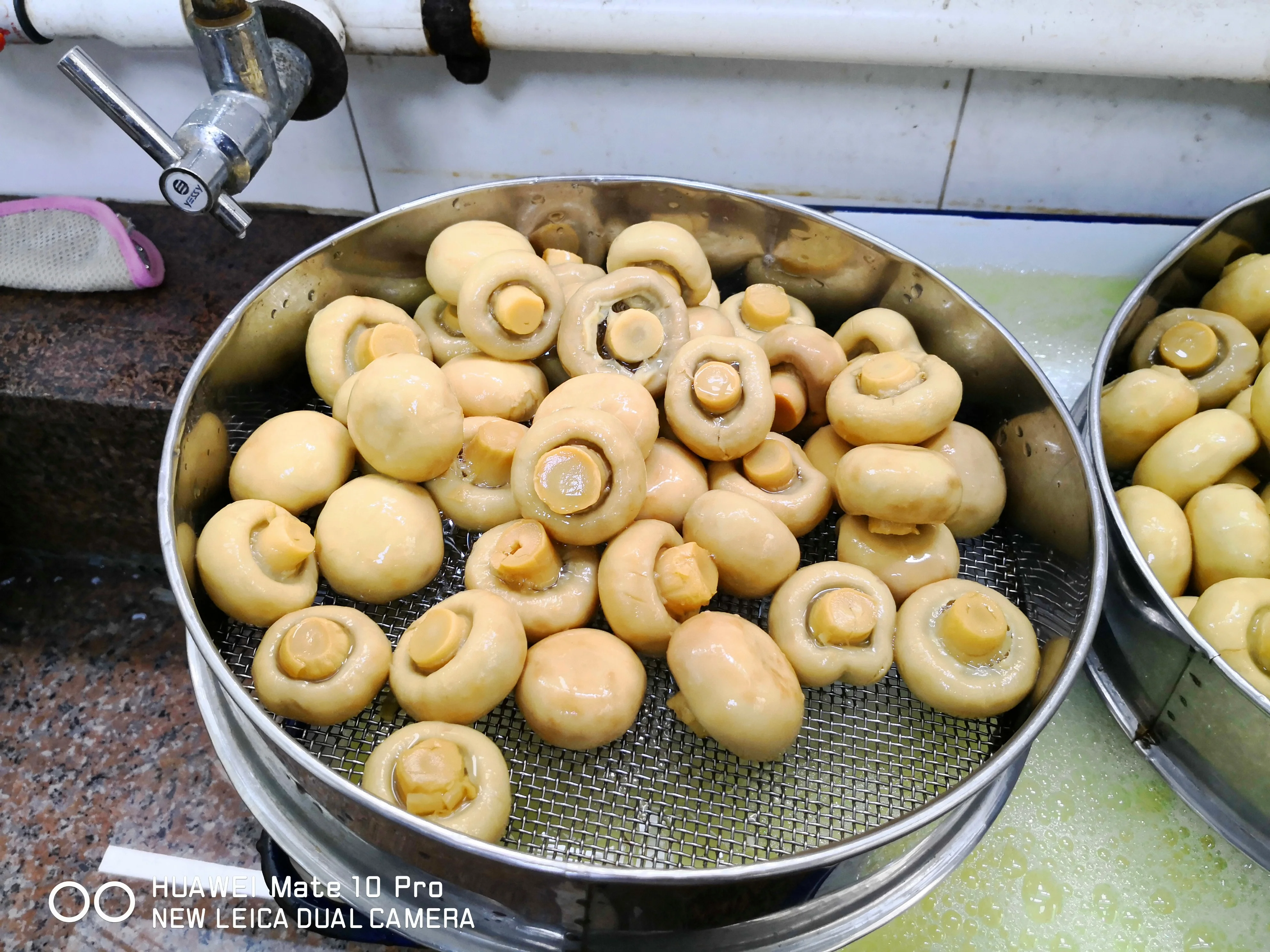 Canned Mushrooms whole